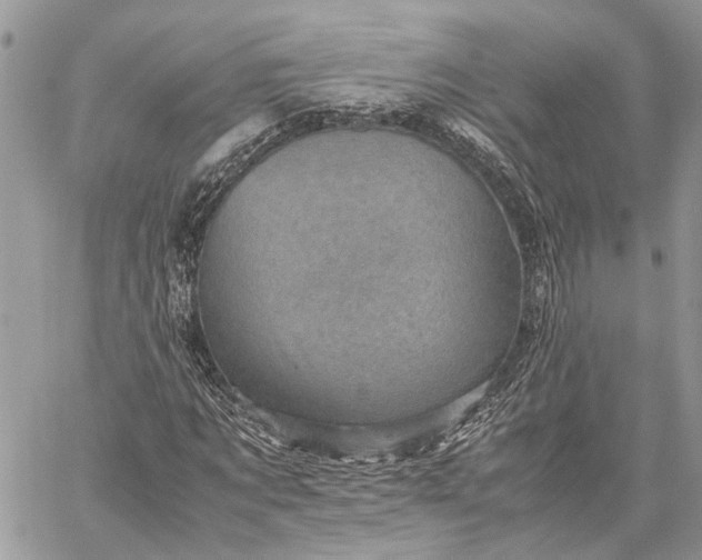 X0000059090869200510211604