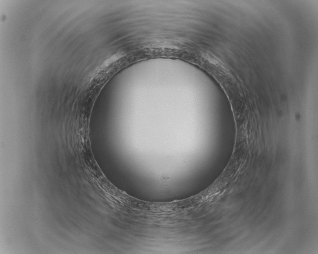 X0000059090870200510211604