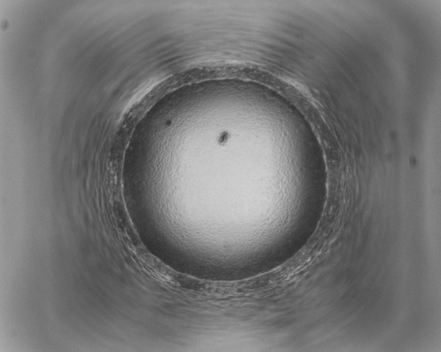 X0000059090871200510211604