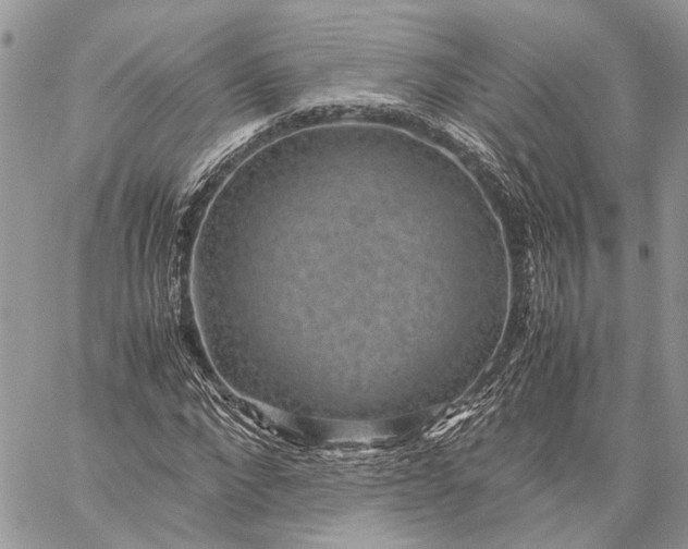 X0000059090872200510211604