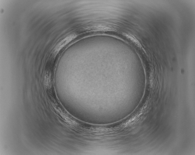 X0000059090873200510211604