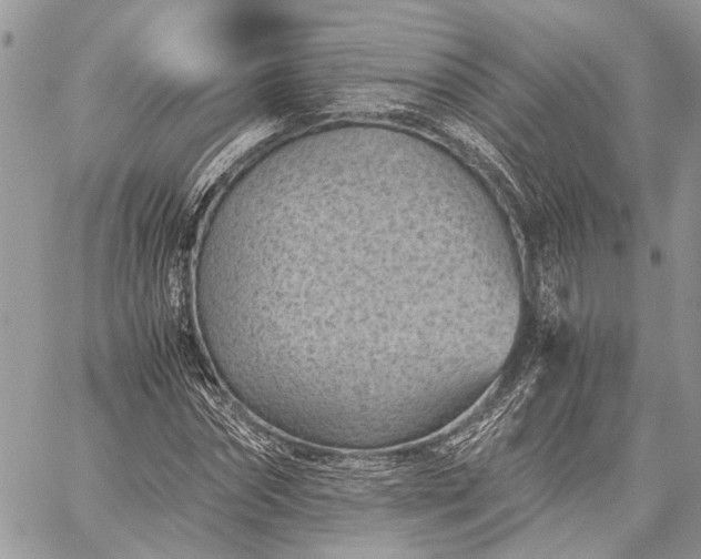 X0000059090874200510211604