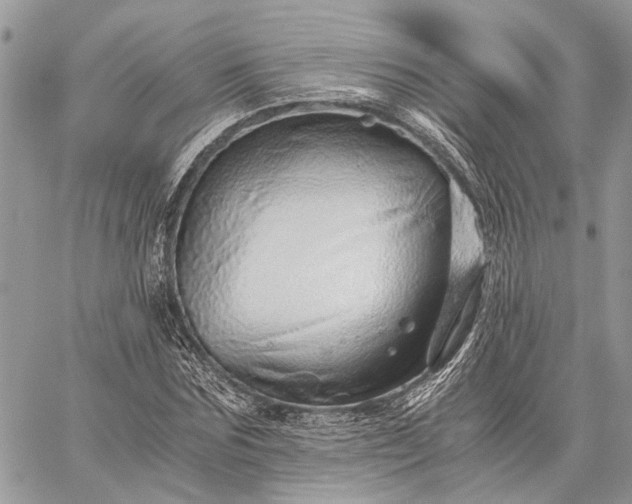 X0000059090875200510211604