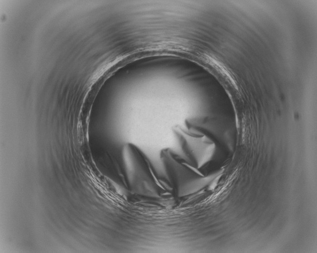 X0000059090876200510211604