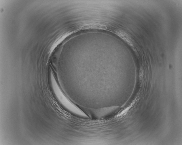 X0000059090877200510211604