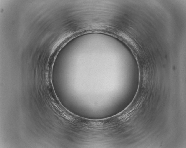 X0000059090878200510211604