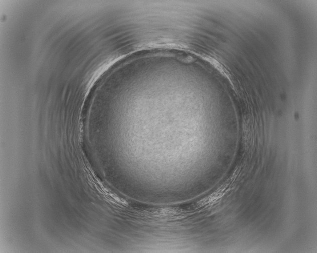 X0000059090879200510211604