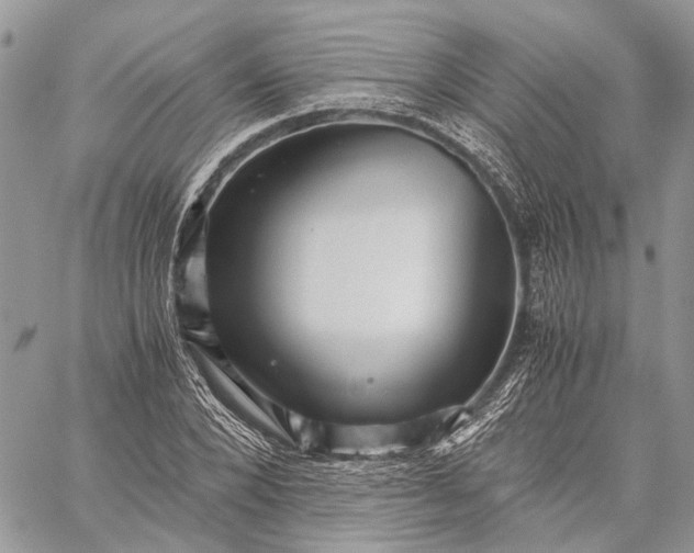 X0000059090880200510211604