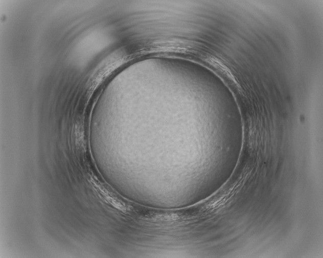 X0000059090882200510211604