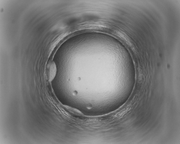 X0000059090883200510211604