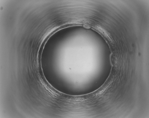 X0000059090884200510211604