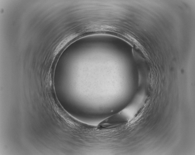 X0000059090885200510211604