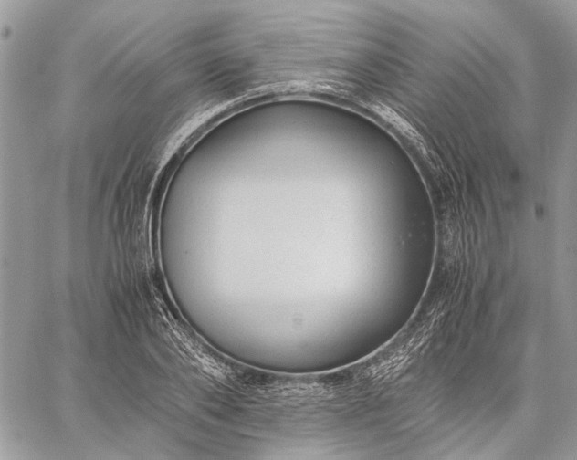 X0000059090886200510211604