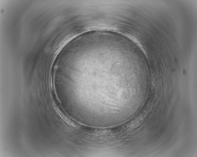 X0000059090887200510211604