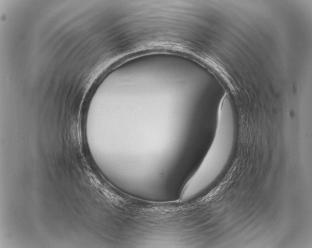 X0000059090888200510211604