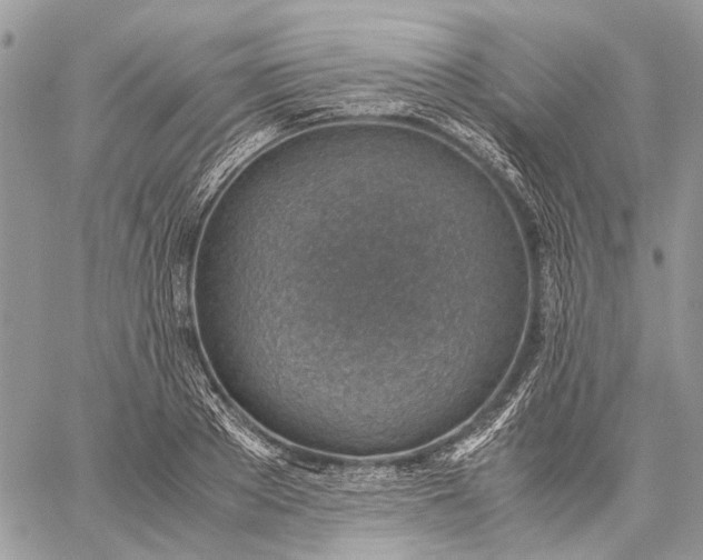 X0000059090889200510211604