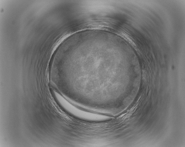 X0000059090891200510211604