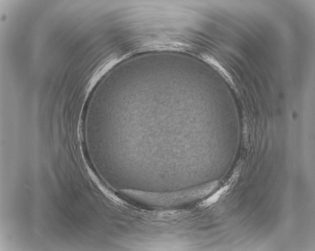 X0000059090893200510211604