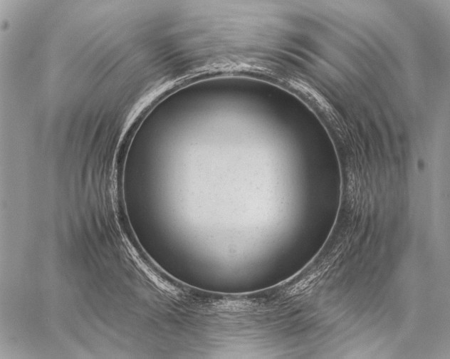 X0000059090894200510211604