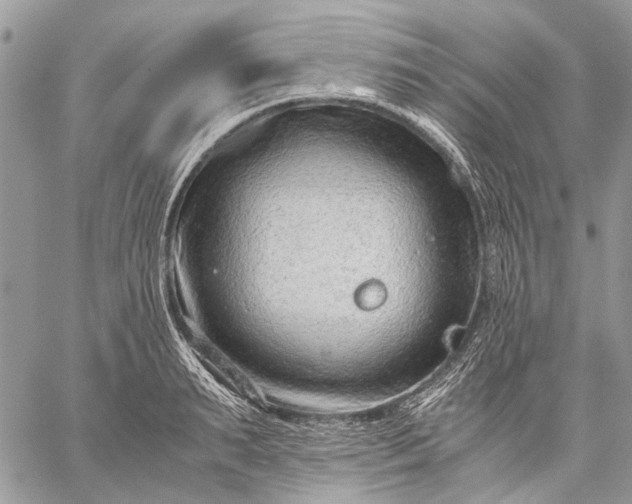 X0000059090895200510211604