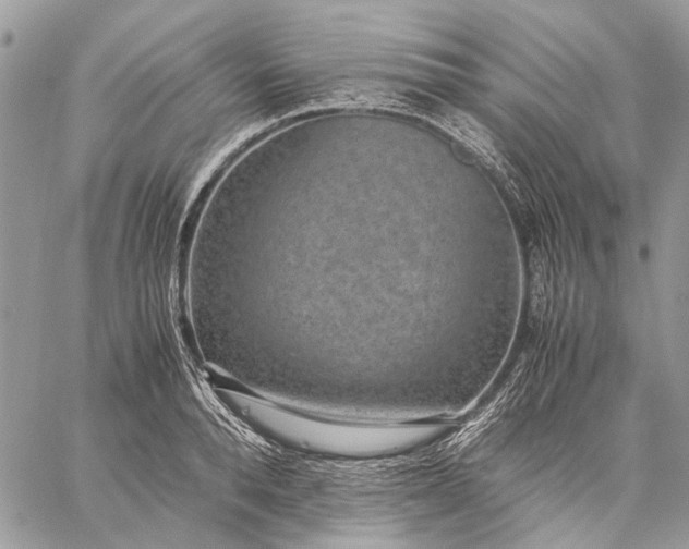 X0000059090896200510211604