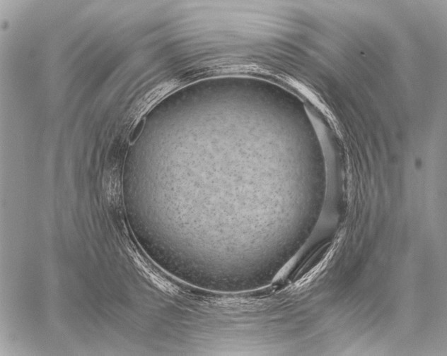 X0000059090897200510211604