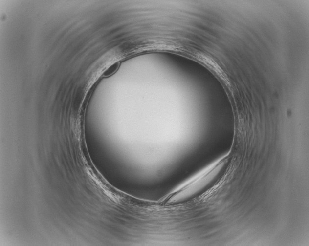 X0000059090898200510211604