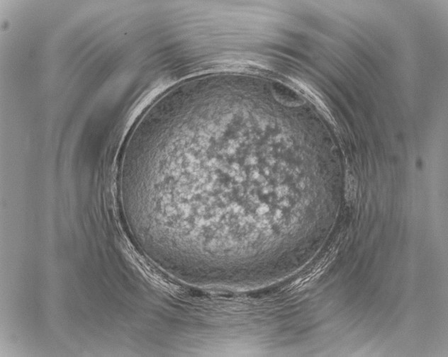 X0000059090899200510211604