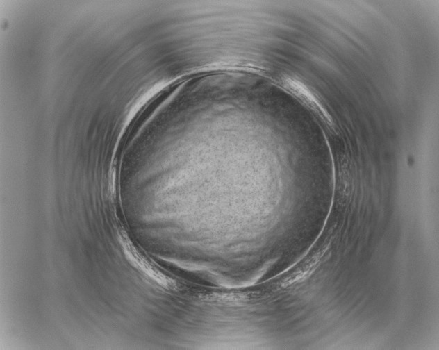 X0000059090900200510211604