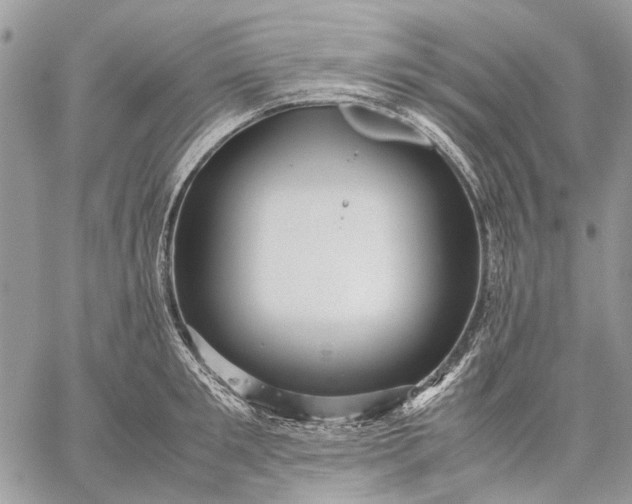 X0000059090901200510211604