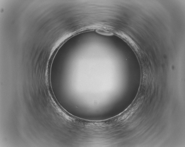 X0000059090902200510211604