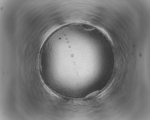 X0000059090903200510211604