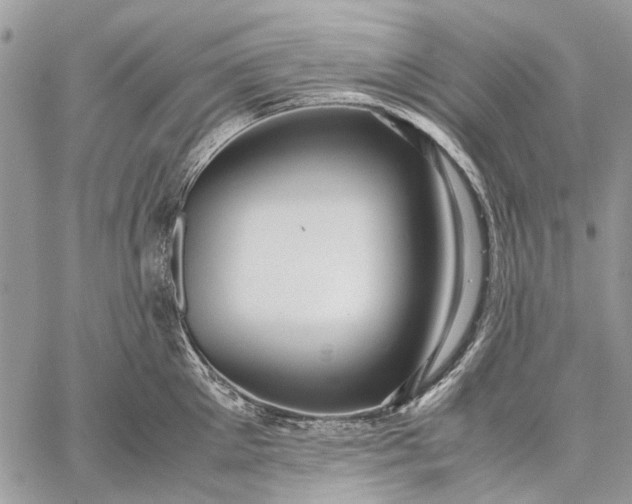 X0000059090905200510211604