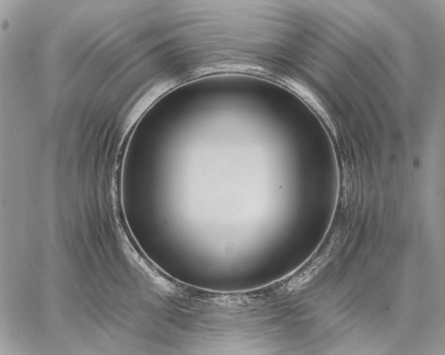 X0000059090906200510211604