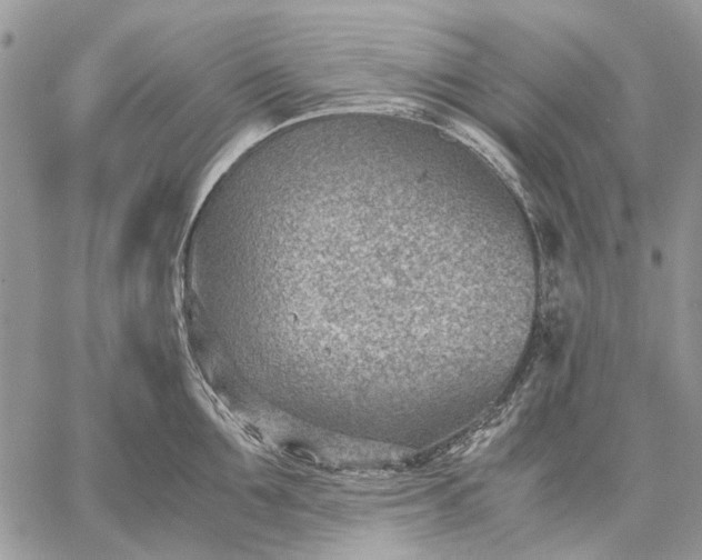 X0000059090907200510211604