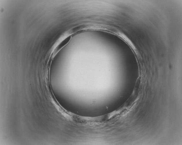 X0000059090909200510211604