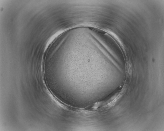 X0000059090910200510211604