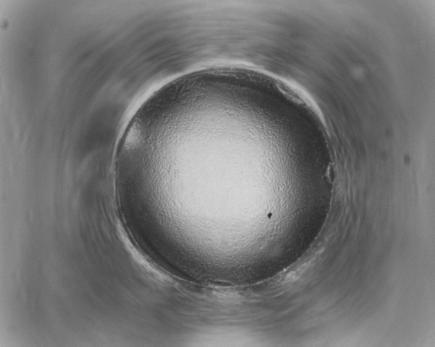 X0000059090911200510211604