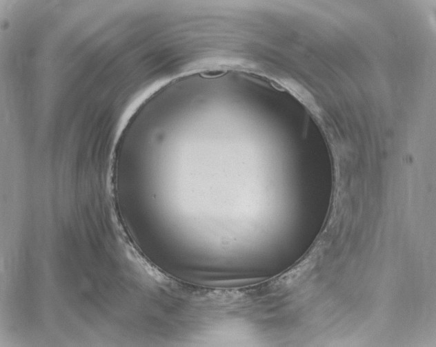 X0000059090912200510211604