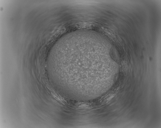 X0000059090913200510211603