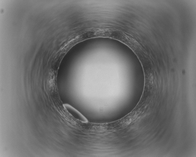 X0000059090914200510211603