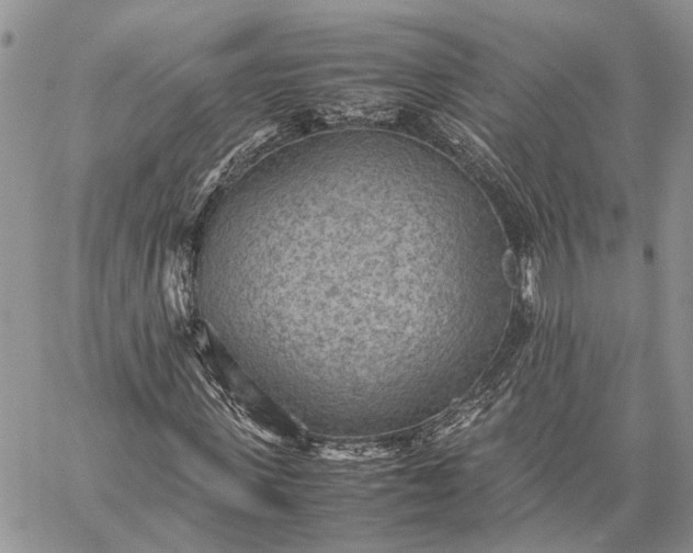 X0000059090915200510211603