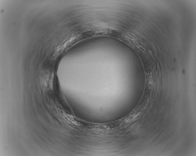 X0000059090916200510211603