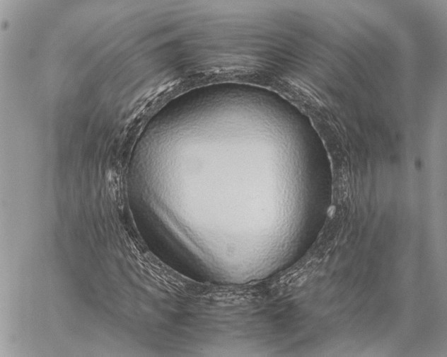 X0000059090917200510211603