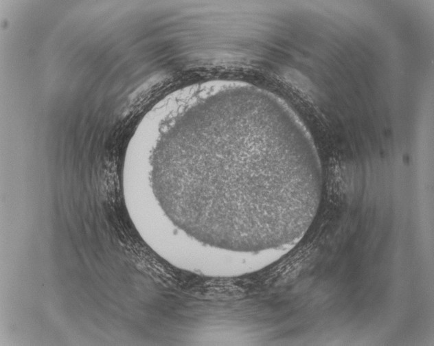 X0000059090918200510211603