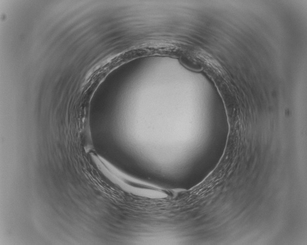 X0000059090920200510211603