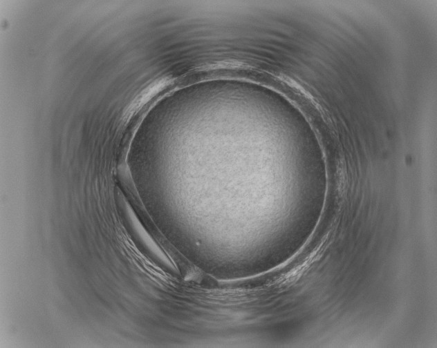 X0000059090921200510211603