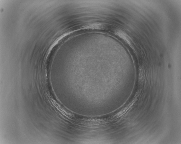 X0000059090923200510211603