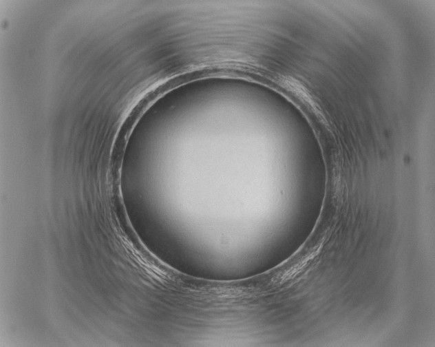 X0000059090924200510211603