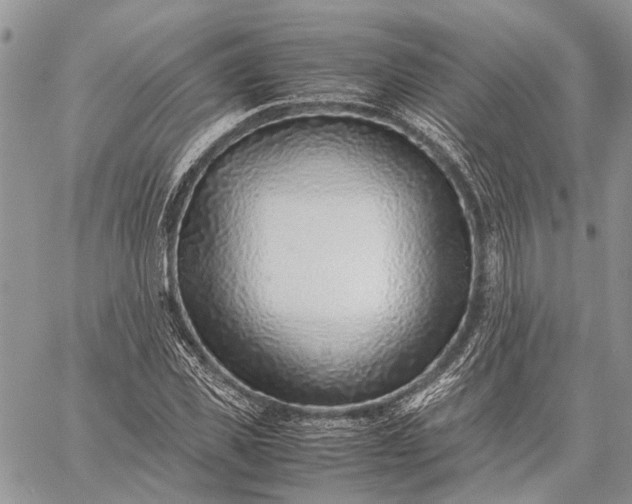 X0000059090925200510211603